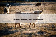 安联拜仁德国杯，拜仁德国杯成绩