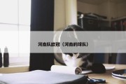 河南队欧冠（河南的球队）