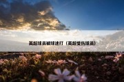 英超球员被球迷打（英超受伤球员）