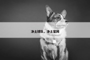 净土球队，净土官网