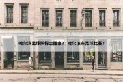 哈尔滨足球队标志图案？ 哈尔滨市足球比赛？