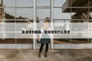 紫金球衣图画，紫金球衣什么意思