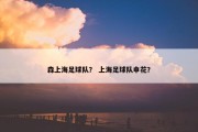 森上海足球队？ 上海足球队申花？