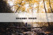 球衣挂架图片（球衣挂件）