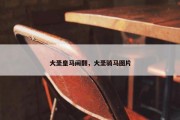 大圣皇马闹翻，大圣骑马图片