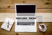 钟璃什么阵容，钟璃天赋