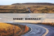 苏丹摩洛哥？ 摩诃末苏丹的儿子？