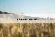 黑人保护拜仁（黑人拜年）