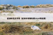 欧洲杯花式手球（欧洲手球锦标赛2020预选赛）