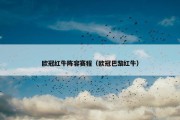 欧冠红牛阵容赛程（欧冠巴黎红牛）
