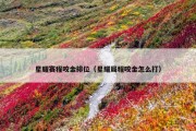 星耀赛程咬金排位（星耀局程咬金怎么打）