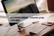 zara沟纹切尔西短靴？ common project切尔西靴？