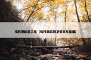 埃托奥欧冠卫冕（埃托奥欧冠卫冕冠军是谁）