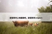 欧冠球衣上有国旗吗，欧冠球衣respect