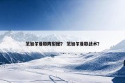 范加尔曼联阵型图？ 范加尔曼联战术？