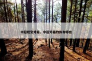 中超规划外籍，中超外籍教练有哪些