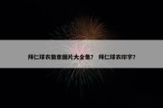 拜仁球衣徽章图片大全集？ 拜仁球衣印字？