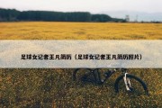 足球女记者王凡简历（足球女记者王凡简历照片）