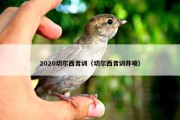 2020切尔西青训（切尔西青训井喷）