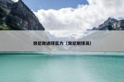 突尼斯进球实力（突尼斯球员）