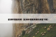 欧洲杯德国男模（欧洲杯德国男模队颜值下降）