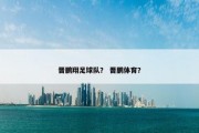 晋鹏翔足球队？ 晋鹏体育？