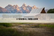 17日秘鲁vs，秘鲁vs日本