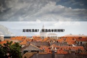 足球陈浩南？ 陈浩南单挑视频？
