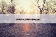 关于武汉足球队李毅的信息