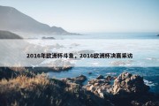 2016年欧洲杯斗鱼，2016欧洲杯决赛采访