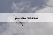 puma秋球衣（彪马足球衣）