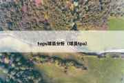 tops球员分析（球员tpa）