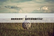 蛋糕男生球衣？ 篮球衣蛋糕图片大全？