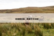 给皇典文案（典耀中华文案）