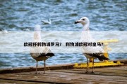 欧冠杯利物浦罗马？ 利物浦欧冠对皇马？