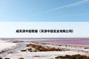 成天津中超数据（天津中超实业有限公司）