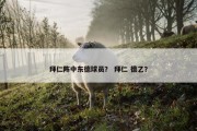 拜仁阵中东德球员？ 拜仁 德乙？