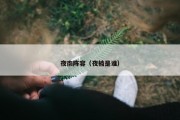 夜南阵容（夜楠是谁）
