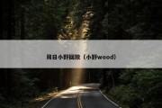 周日小野回放（小野wood）