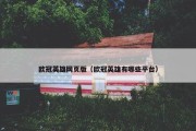 欧冠英雄网页版（欧冠英雄有哪些平台）