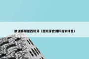欧洲杯球星西班牙（西班牙欧洲杯当家球星）