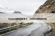 fm2014球员汉化补丁，fm2014球员名中文