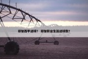 郑智西甲进球？ 郑智职业生涯进球数？