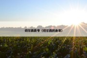 切尔西爵爷（切尔西的身世）