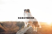 包含美女中国的词条
