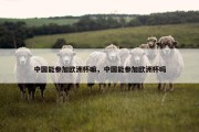 中国能参加欧洲杯嘛，中国能参加欧洲杯吗