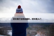 切尔西打包教练图片，切尔西入门