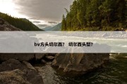 bv方头切尔西？ 切尔西头型？