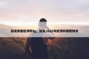 耐克刺客欧洲杯fg，耐克2020年欧洲杯新款球衣