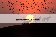 巴西四强赛果？ 巴西 比赛？